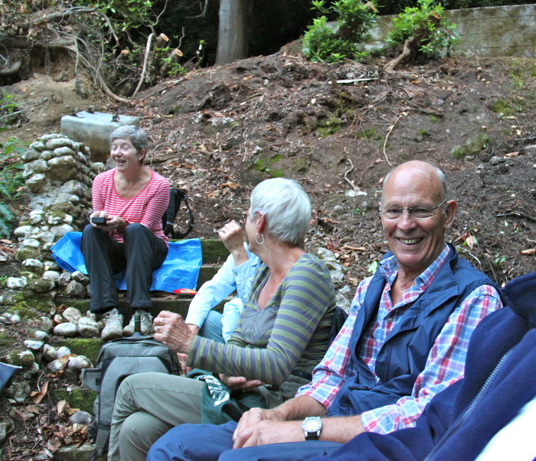 Settling down for the Bat Watch.